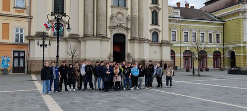 IMG_20250314_100905.jpg